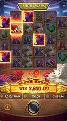 88r · Rooster Rbl